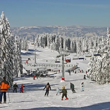 G6 Kopaonik