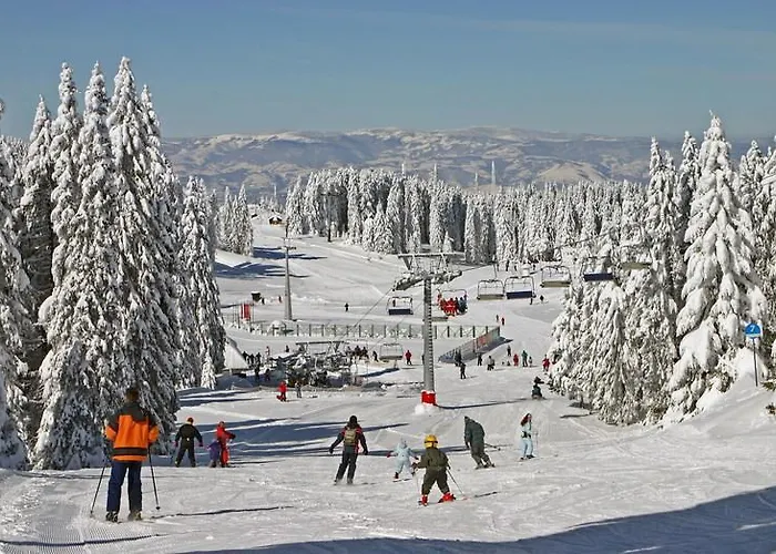 G6 Kopaonik